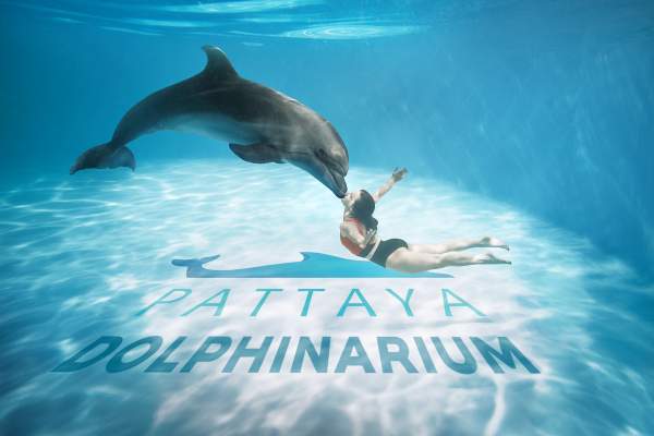 Dolphinarium Pattaya